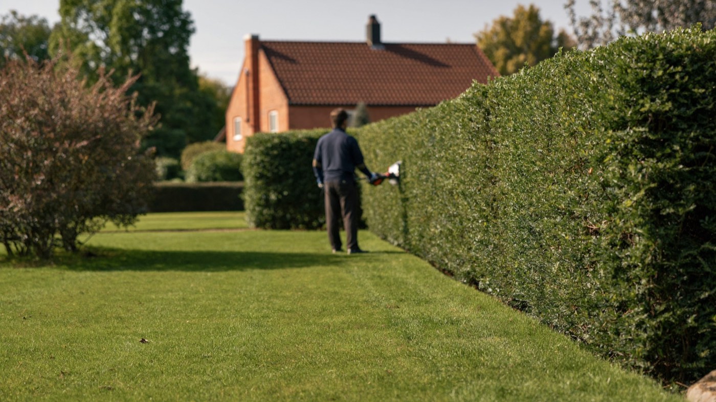 Gepflegter Garten mit frisch gemähtem Rasen und geschnittener Hecke vor einem Einfamilienhaus bei Stade
