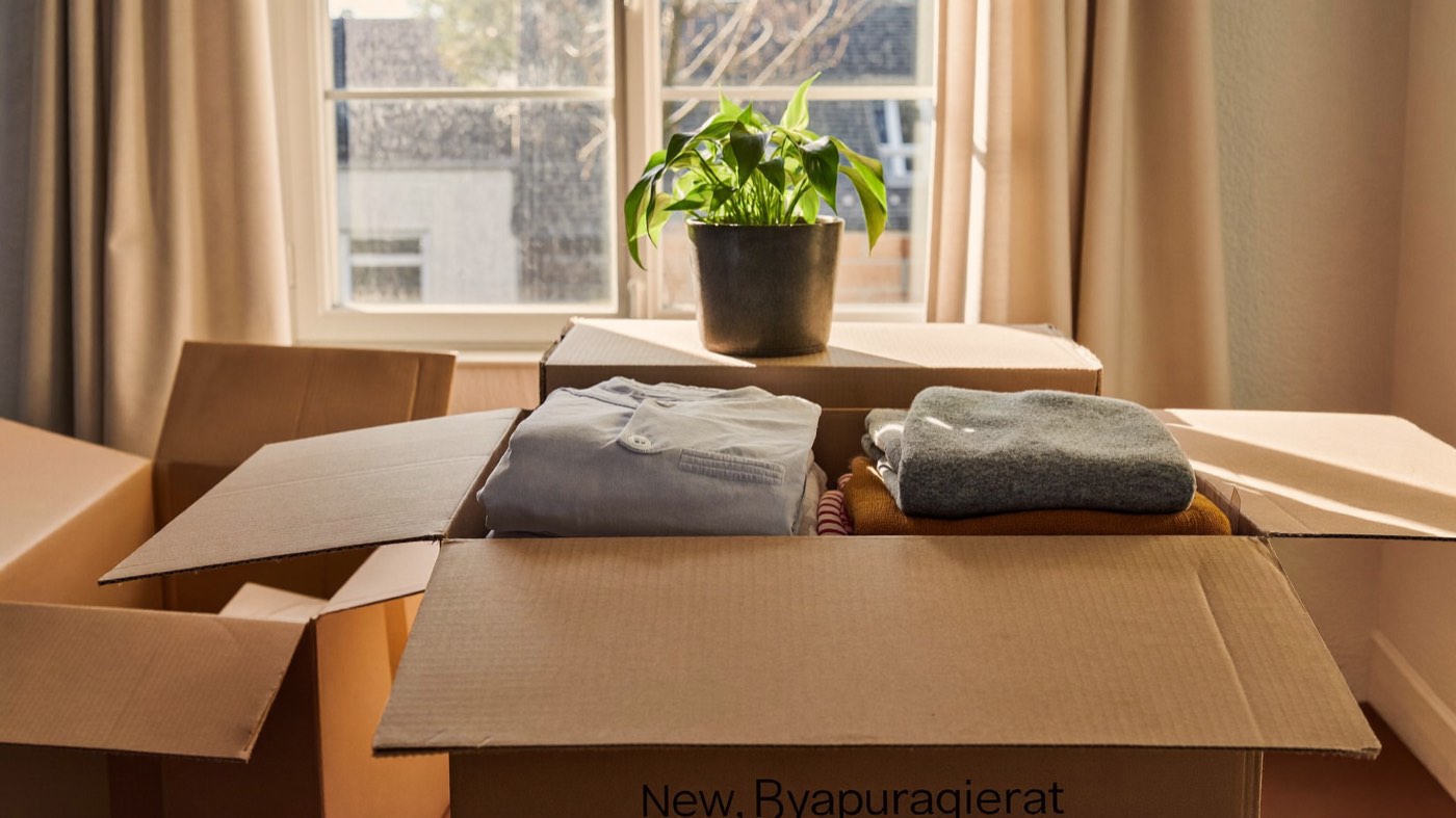 Sorgfältig gepackte Kartons mit vertrauten Gegenständen und einer Zimmerpflanze vor einem hellen Fenster