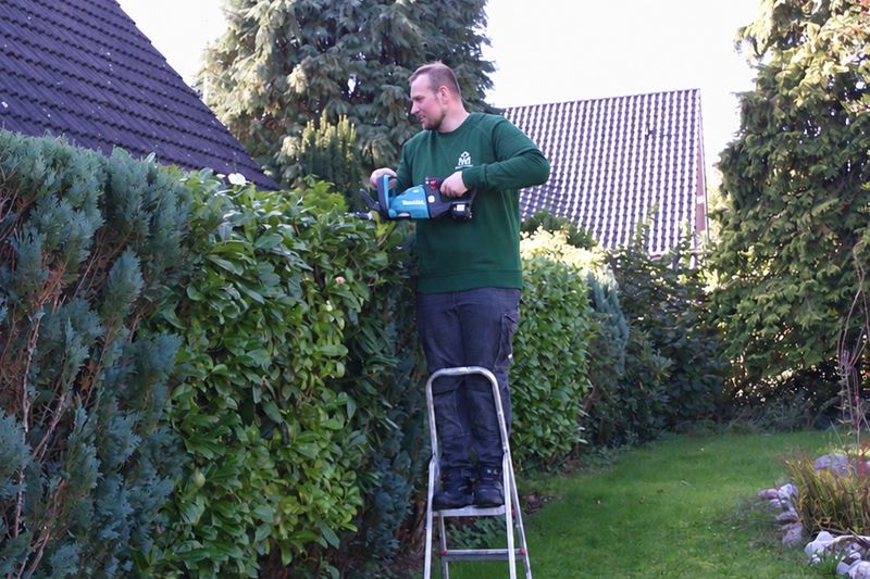 Ein Teammitglied von MM Dienstleistungen schneidet von einer Leiter aus eine hohe Hecke